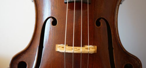 クラシックの演奏におすすめのコントラバスの弦5選を紹介。